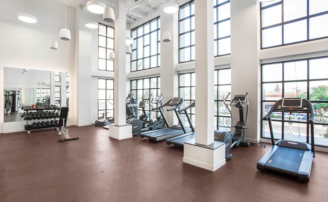 Modern fitness center with gym equipment and large windows.